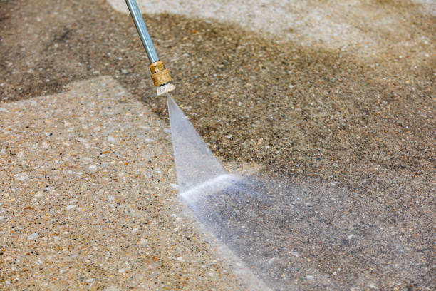 Best Animal Enclosure Cleaning  in Gooding, ID